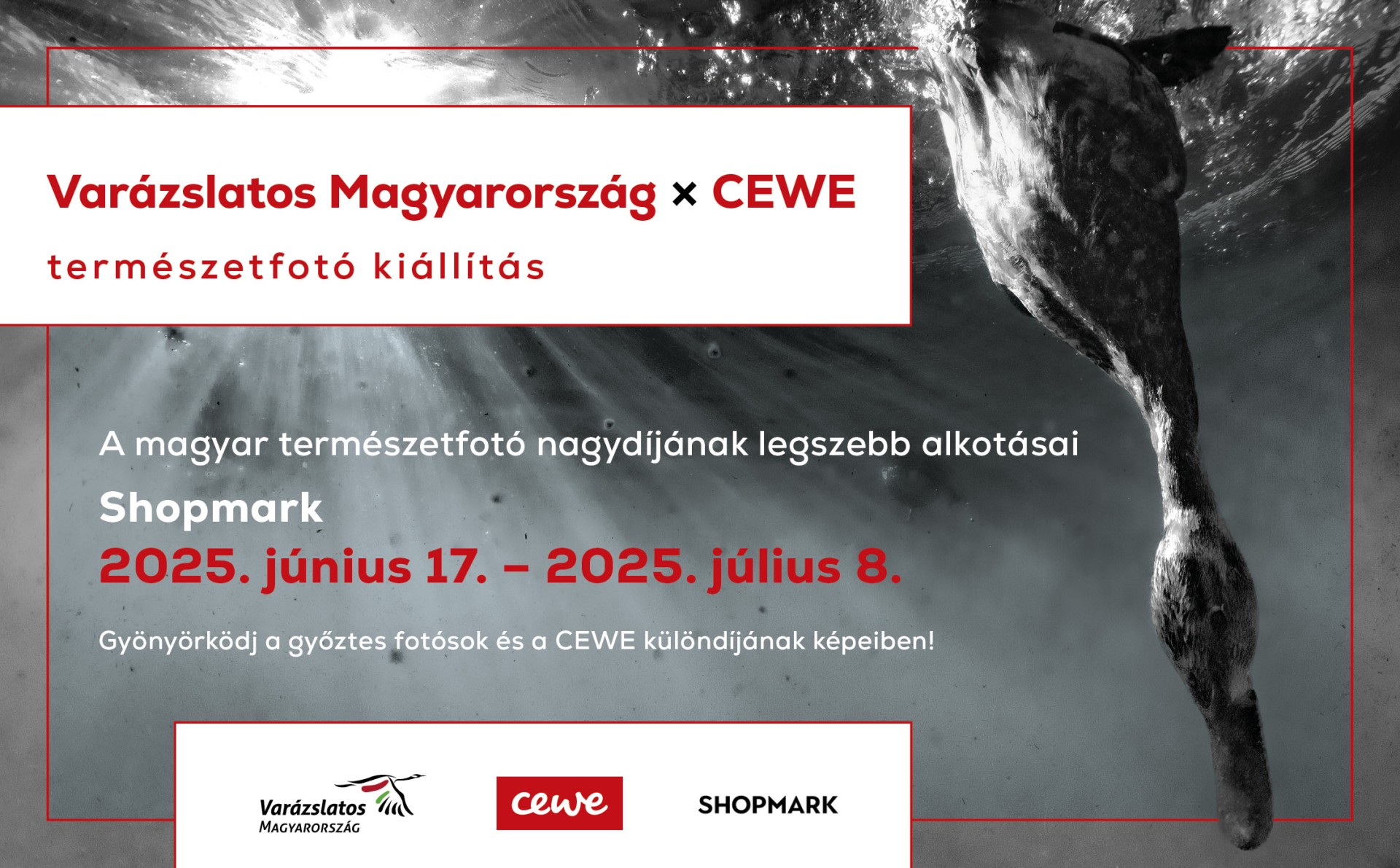 Varázslatos Magyarország - CEWE természetfotó kiállítás!📸 thumbnail