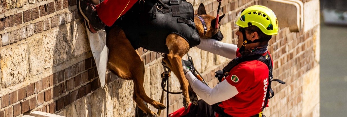 Kedvezmény borítókép